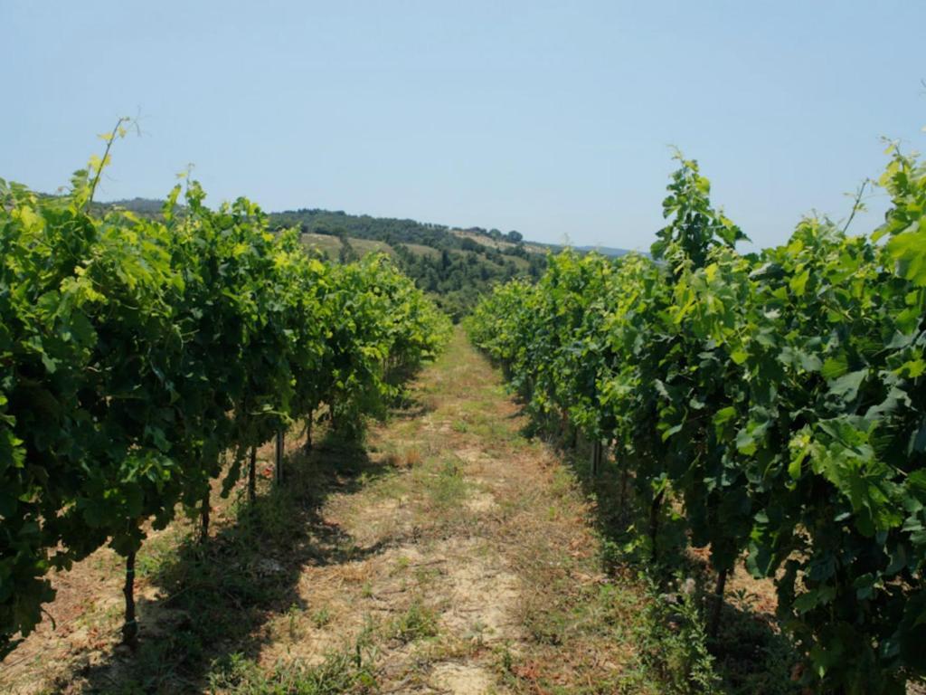 Tenuta Ponziani Wine Resort&Spa Morrano Exterior photo